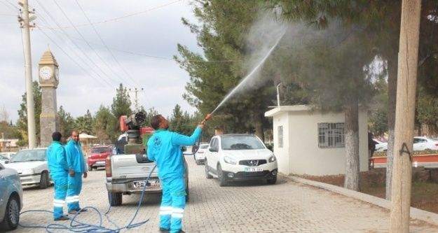 Harran Belediyesi'nin Entegre Vektör Mücadelesi Devam Ediyor