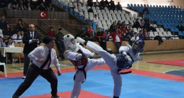 Erzincan'da Taekwondo Heyecanı