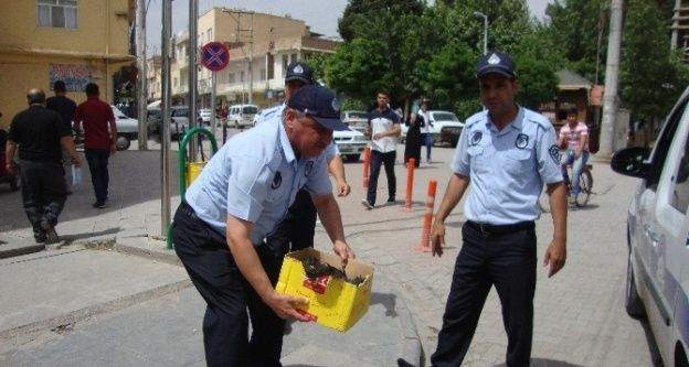 Ceylanpınar Zabıta Ekibinden Örnek Davranış