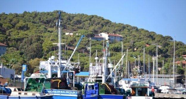 Ayvalıklı balıkçılar denizden eli boş döndü