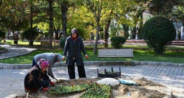 Gediz Sonbaharda çiçeklerle güzelleşiyor