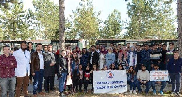 Öğrenciler Hayvan Barınağını İnceledi