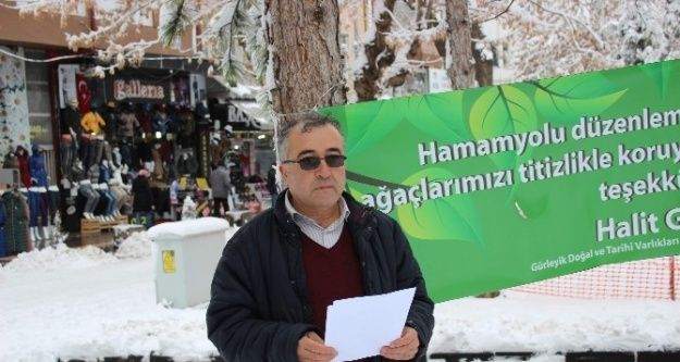 Başkan Gürsoy'dan ağaçları koruyan Odunpazarı'na teşekkür