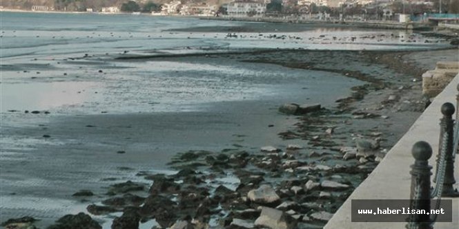 Deniz suyu 40 metre çekildi