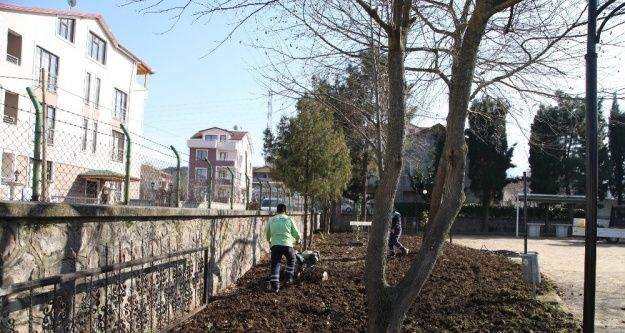 Başiskele'de camilere peyzaj çalışması