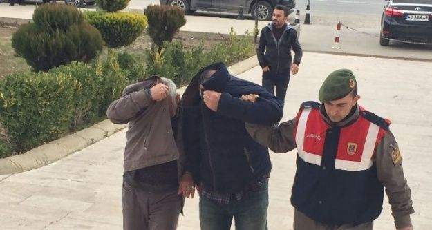 Milas'ta kaçak kazıcılar adliyeye sevk edildi