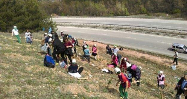 Bilim ve Sanat Merkezi öğrencilerinden hatıra ormanı