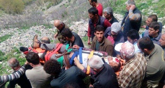 Pancar toplarken uçuruma yuvarlandı