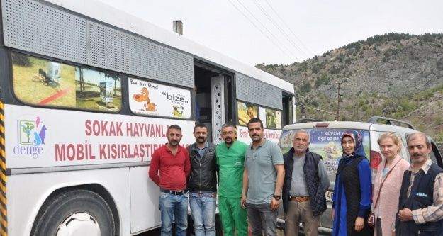 Sokak hayvanlarının kısırlaştırılmasına başlandı
