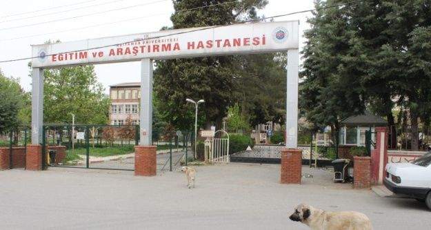 Vatandaşlardan sokak köpeklerine tepki