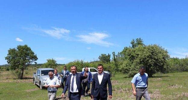 Edirne'de karaçalı mücadelesi