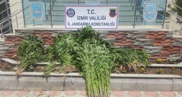 İzmir'de uyuşturucu operasyonu: 5 gözaltı