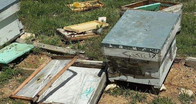 Sarıveliler'de ayı, arı kovanlarına zarar verdi