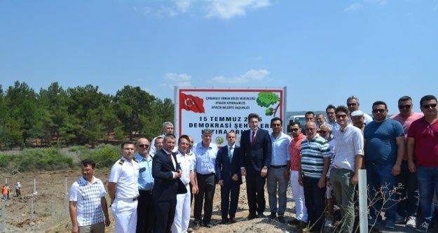 Ayvacık'ta 249 şehit için 249 fidan