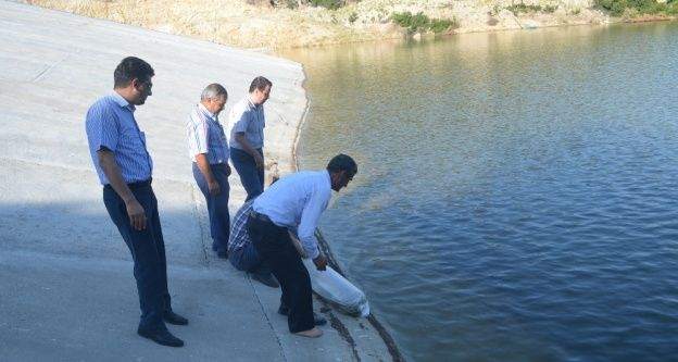 Kula'da gölete 5 bin balık bırakıldı