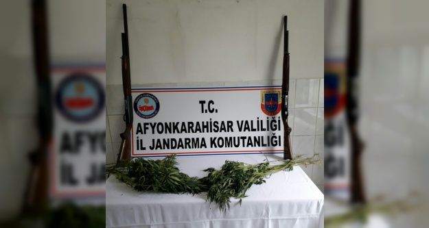 Jandarma 75 kök keneviri ile ruhsatsız av tüfekleri ele geçirdi