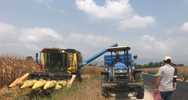 Mısırda dane kaybına karşı denetim sürüyor