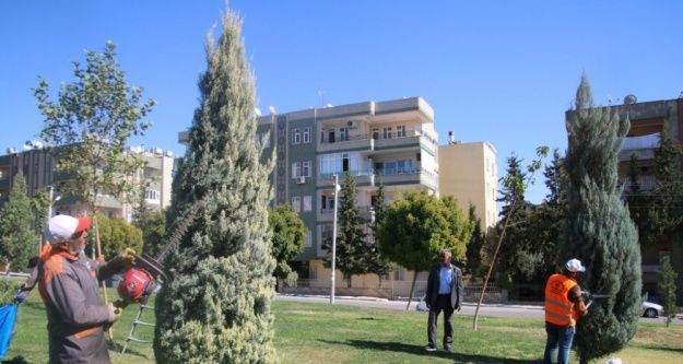 Şanlıurfa Bilim Şenliğine hazırlanıyor
