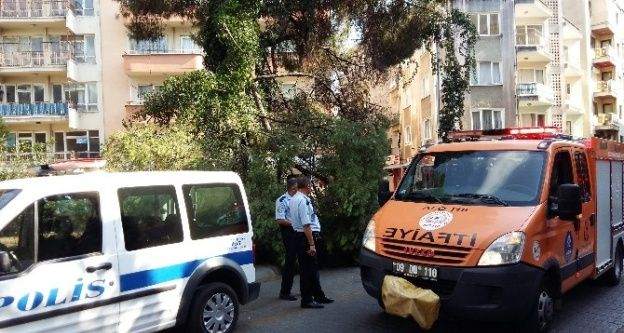 Çam Ağacının Kırılan Dalı Altından Geçen Aileyi Korkuttu