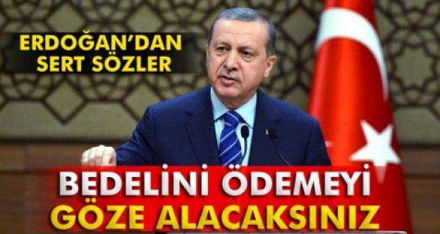 Erdoğan : Bedelini Ödersiniz