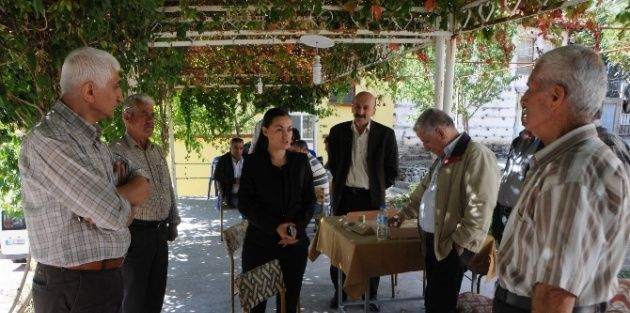 Kadın Eli Değen Ilçe Huzuru Buldu