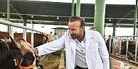 Başkan Doğan hayvan pazarında incelemelerde bulundu